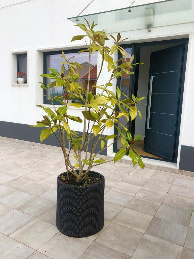 Casa Patio Country House Enxara do Bispo ภายนอก รูปภาพ